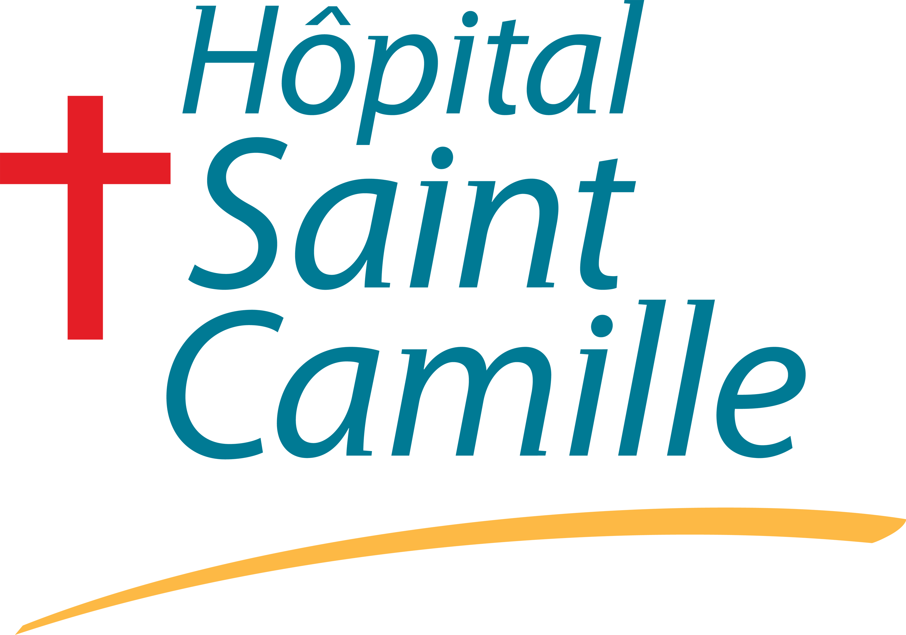Logo hôpital privé Saint Camille